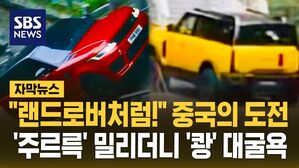 [자막뉴스] "랜드로버처럼!" 중국의 도전…'주르륵' 밀리더니 '쾅' 대굴욕