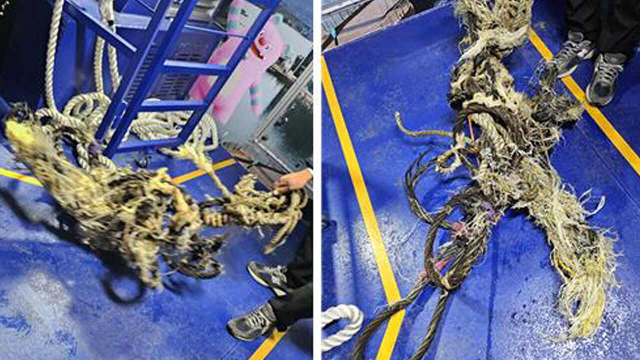 한강버스, 사흘간 뚝섬 선착장 무정차한다…"이물질 제거작업"