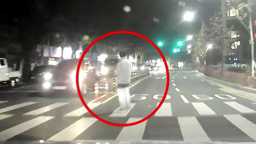 [사건X파일] 횡단보도 사고인데…보행자 과실이라고?