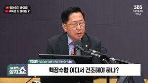 [정치쇼] 유용원 "핵잠 국내 건조해야…핵연료 자체수급이 이상적"