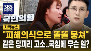 [자막뉴스] 같은 당끼리 고소…국민의힘에 무슨 일이?