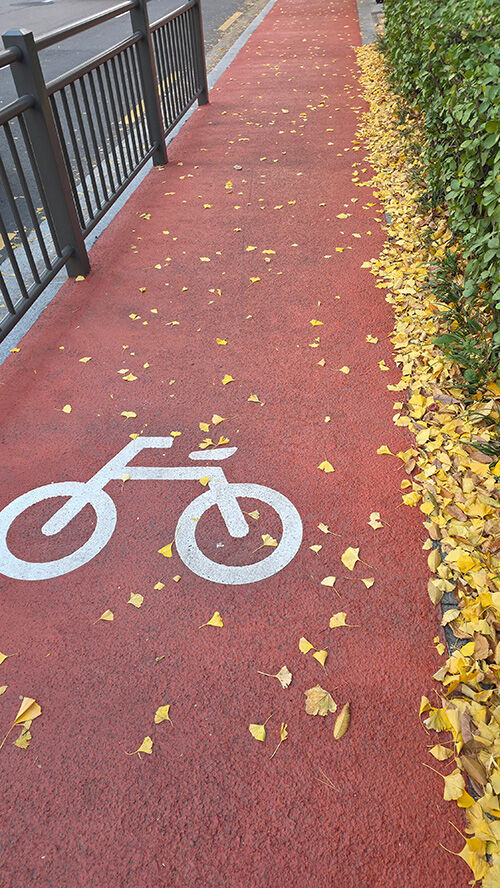 자전거 도로 사진