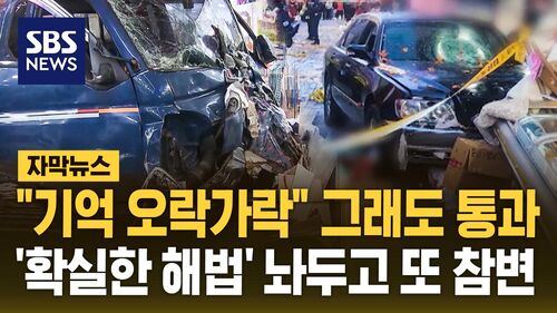 [자막뉴스] "기억 오락가락" 그래도 통과…확실한 해법 놔두고 또 참변