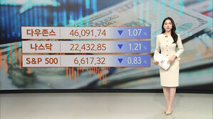 [뉴욕증시] 증시 하락세 계속…엔비디아 실적 발표 전 '불안'