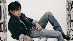 경찰, BTS 정국 자택 침입 시도한 50대 일본인 내사