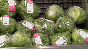 "자주 먹는데" 가격 폭등에 '한숨'…한 통에 얼마?