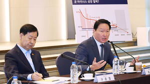 최태원 "금산분리 원하는 게 아냐"…투자 위한 새 제도 필요성 강조