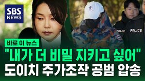 "내가 더 비밀 지키고 싶어" 도이치 주가조작 '공범', 체포 후 광화문 압송 [바로이뉴스]