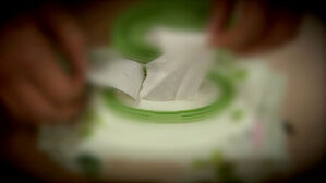 실시간 e뉴스3. 물티슈