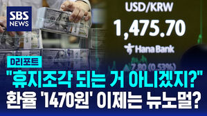 [D리포트] 환율 도대체 왜 이래?…언제까지 급등할까