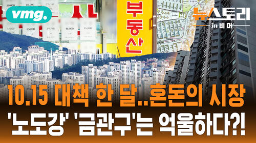 [뉴스토리 in 비머] 초양극화의 서막..강남3구, 마용성은 또 신고가!