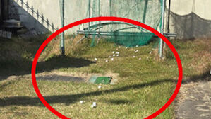 마당 괴소음 '공포의 집'…난데없이 튕겨 사람 덮친 정체