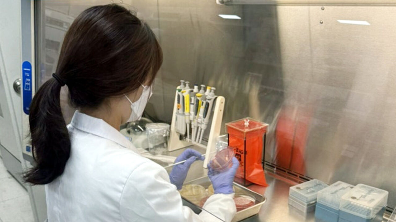 항생제 내성균 감염증 주의보…충북 감염자 지속 증가