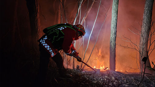 산림청, 강원 양양 산불 대응 1단계 발령…진화율 45%