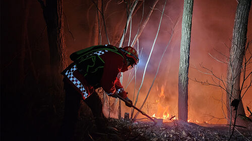 양양 서면 산불 16시간 만에 진화…산림 22.5㏊ 소실