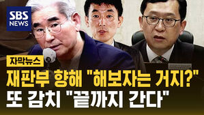 [자막뉴스] 재판부 향해 "해보자는 거지?"…또 감치 "끝까지 간다"