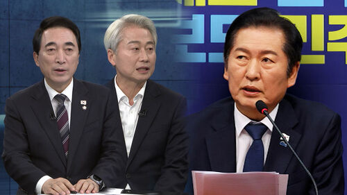 [여담야담] 민주 1인1표제 논란…"지방선거 준비 위한 개정"·"정청래 연임 포석"