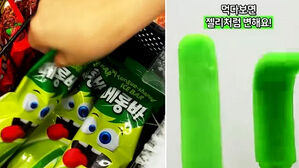 '인기 폭발' 500만 개 팔린 아이스크림 논란…성분 뭐길래