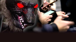 자막뉴스 김성화_일본 곰습격 몬스터울프