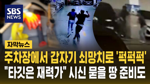 [자막뉴스] 주차장에서 갑자기 쇠망치로 퍽퍽퍽…"타깃은 재력가" 시신 묻을 땅 준비도