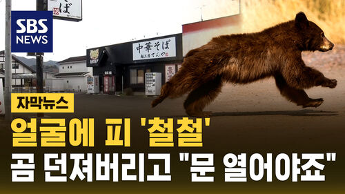 [자막뉴스] 곰에 습격당한 일본 라멘집 직원…곰 던져버리고 "가게는 반드시 열어야"