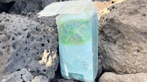 제주 해안서 또다시 차 봉지 마약 발견…두 달간 16차례