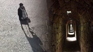 자막뉴스 김성화_변장 아들