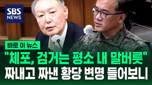 짜내고 짜낸 황당 변명