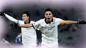 후이즈 결승골&hellip;성남, 플레이오프 진출