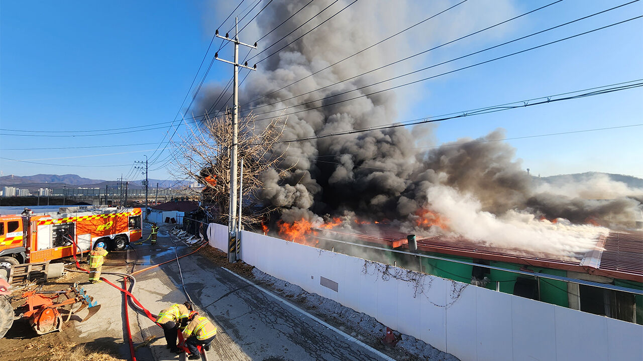 양주 돼지 축사서 불…2개 동 전소