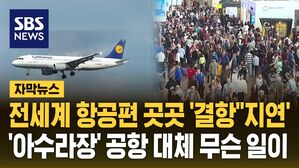 [자막뉴스] 전세계 항공편 곳곳 결항 지연…'아수라장' 공항에 대체 무슨 일이