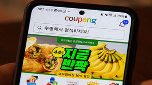 아단) 쿠팡 개인정보 대규모 유출사고...민관합동조사단 꾸린다