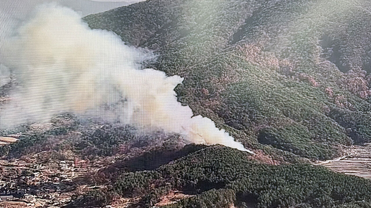 울산 울주 범서읍서 산불…1시간 20분 만에 초진