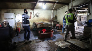 동물보호 단체, 말 불법 도축한 제주 관광승마장 고발