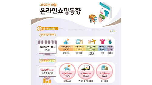2025년 10월 온라인 쇼핑 동향 (출처=국가데이터처)