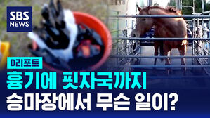 [D리포트] 핏자국에 흉기까지&hellip;승마장서 펼쳐진 끔찍한 광경