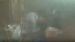 핏자국에 내장 무더기…승마장서 펼쳐진 끔찍한 광경