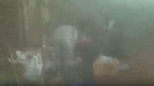 핏자국에 내장 무더기로…승마장서 펼쳐진 끔찍한 광경