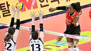 여자 프로배구 도로공사 독주&hellip;2위 싸움 각축전