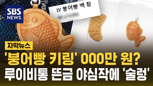 [자막뉴스] 붕어빵 키링 ○○○만 원? 루이비통 뜬금 야심작에 술렁