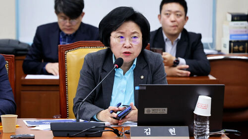 김현, 쿠팡 질타…"사회적 책임 외면·대관 네트워크 활용"