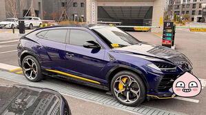 관리소에 항의하다 아파트 주차장 막아선 람보르기니