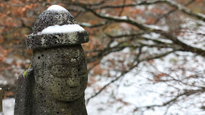제주도산지에 대설주의보&hellip;제주도산지 등 7곳 강풍주의보 유지