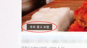 [친절한 경제] 후기도 '뒷광고' 될 수 있다…공정위가 낸 안내서 봤더니