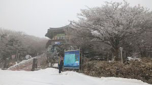 '대설특보' 한라산 삼각봉 눈 8㎝ 쌓여&hellip;산간도로 일부 통제