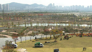 국립세종수목원에서 '크리스마스'… 24∼31일 특별 무료 개방