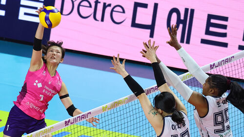 흥국생명, 11연승 노리던 도로공사에 제동…극적인 역전승