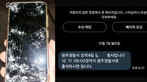 "주인 누구?" 액정나간 폰 찰칵…인증샷에도 황당 문자