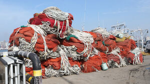 '손 안 대고 코 풀려고?'&hellip;남이 친 그물에서 물고기 훔친 일당