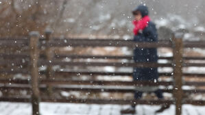 서울시, 1∼5㎝ 첫눈 예보에 강설 대응 1단계&hellip;제설상황실 가동
